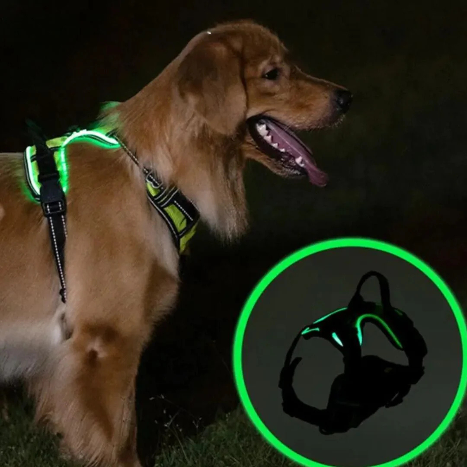 GlowGuard™ – Lichtgevend Hondentuig voor Maximale Veiligheid