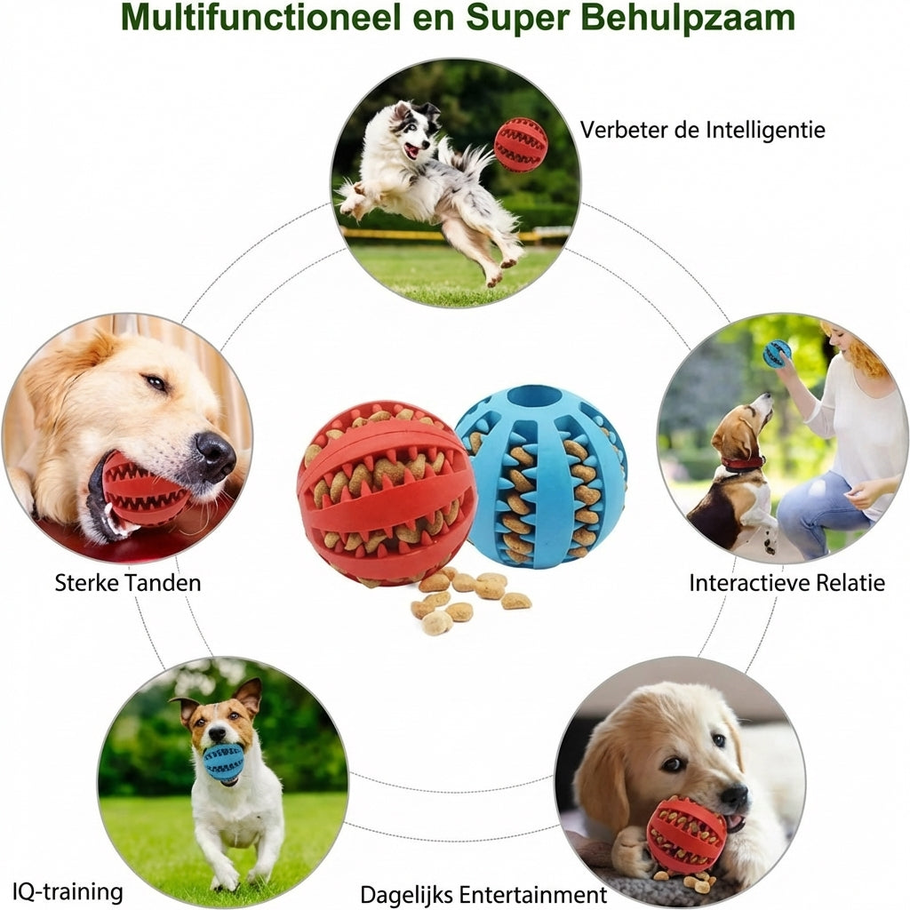 Honden Speeltje met Snack